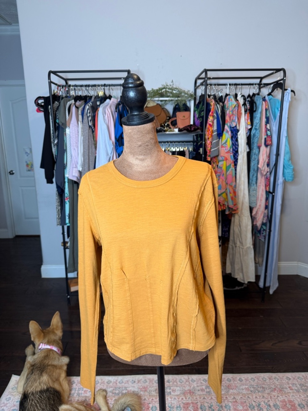 Pilcro Golden Mustard Crewneck Top